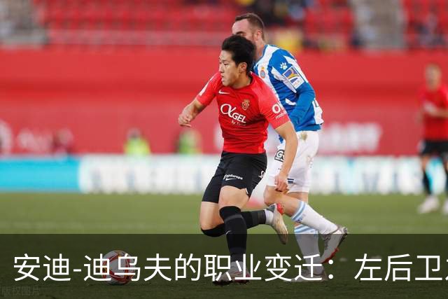 安迪-迪乌夫的职业变迁：左后卫之路的质疑